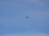 082-tocna-20110116-Helium.jpg