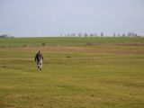 105-tocna-20110116-Helium.jpg