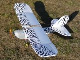 008-tocna-20110209-Janek.jpg