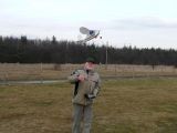 057-tocna-20110210-Janek.jpg