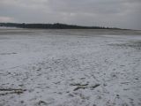 086-tocna-20110220.jpg
