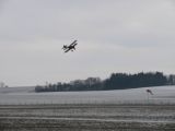 092-tocna-20110220.jpg