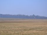 020-tocna-20110305-Helium.jpg