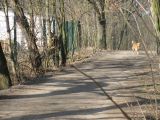 023-tocna-20110305.jpg