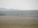 036-tocna-20110305.jpg