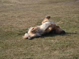 057-tocna-20110305-Helium.jpg