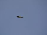 099-tocna-20110305-Helium.jpg