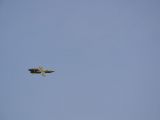 100-tocna-20110305-Helium.jpg