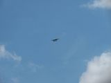 008-tocna-20110402.jpg