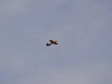 036-tocna-20110403-Helium.jpg