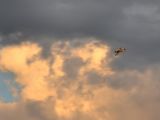 106-tocna-20110723-Helium.jpg