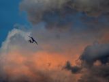 119-tocna-20110723-Helium.jpg