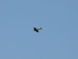 140-tocna-20110727-Janek.jpg