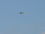 141-tocna-20110727-Janek.jpg