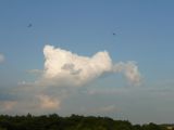 156-tocna-20110727-Janek.jpg