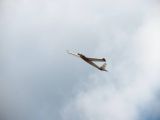 044-tocna-20111009.jpg