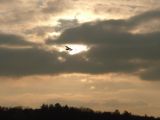 035-tocna-201111xx-Janek.jpg