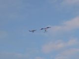 043-tocna-201111xx-Janek.jpg