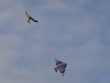 045-tocna-201111xx-Janek.jpg