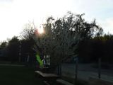 044-tocna-20120422-Janek.jpg