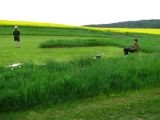 003-str_skalice_20120507.jpg