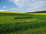 008-str_skalice_20120507.jpg