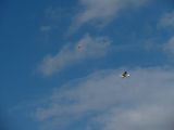 009-str_skalice_20120507.jpg