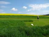 022-str_skalice_20120508.jpg