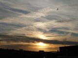 024-tocna-20121008-Janek.jpg