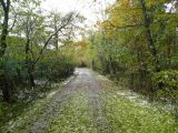 082-tocna-20121028-Janek.jpg
