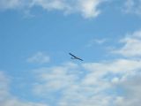 001-tocna-20121109-Jozka.jpg