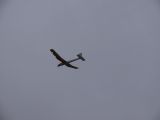 025-tocna-20121118.jpg