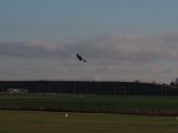 007tocna-20121201-LadaZv.jpg