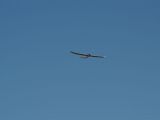 021tocna-20121201-LadaZv.jpg