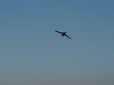 024tocna-20121201-LadaZv.jpg