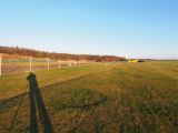 028tocna-20121201-LadaZv.jpg