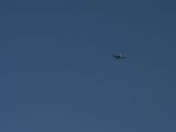 051tocna-20121201-LadaZv.jpg
