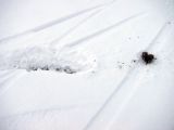 034-tocna-20130120.jpg