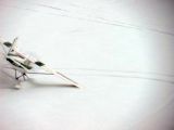 040-tocna-20130120.jpg