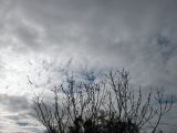 073-tocna-20130414.jpg
