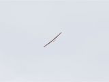 098-tocna-20130414-LadaZv.jpg