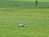 007-tocna-20130605-Janek.jpg
