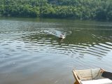 014-slapy-20130717-Janek.jpg