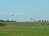 009-tocna-20131013-Janek.jpg