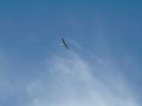 050-tocna-20131019-Janek.jpg