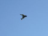 153-tocna-20131031-Janek.jpg