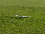 154-tocna-20131031-Janek.jpg
