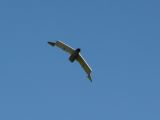 158-tocna-20131031-Janek.jpg