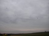 013-tocna-20140101.jpg