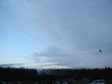049-tocna-20140101.jpg